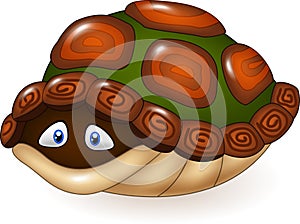 Cartoon funny turtle hides in its shell