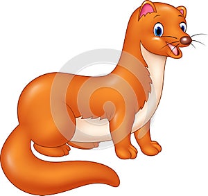 Cartoon funny Weasel on white background