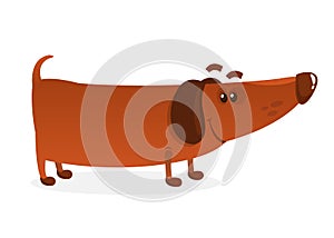 Cartoon Funny Weiner Dog. Vector Illustration.