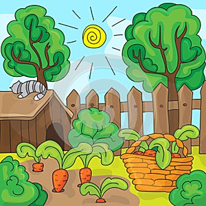 Cartoon garden with carrots, vector illustration