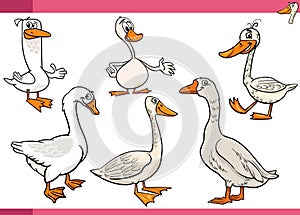 cartoon geese farm birds animal characters set