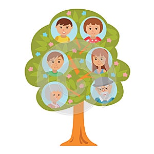 Cartoon generation family tree grandparents parents and children on white background.