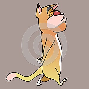 Cartoon ginger cat proudly walks on its hind legs