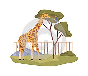 Cartoon giraffe in zoo, African reserve park