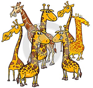 Cartoon giraffes animal characters group