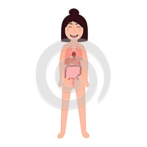 Cartoon girl body anotomy illustration - inner organs lungs, liver, stomach, uterus, heart, intensive