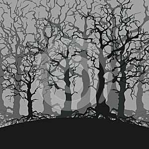 Cartoon gloomy forest background of trees without leaves