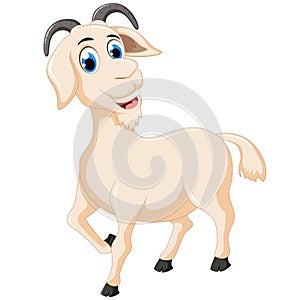 Cartoon goat run for you design