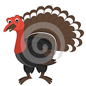 Cartoon gobbler Vector Illustration