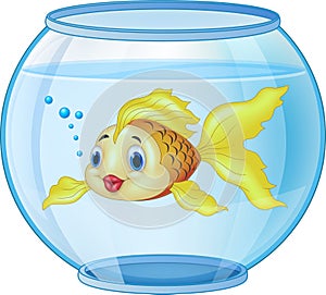 Cartoon golden fish in the aquarium