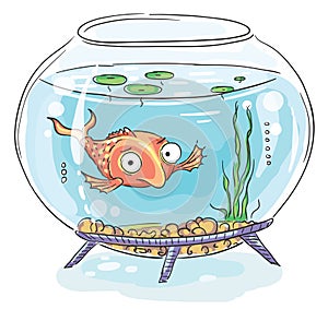 Cartoon goldfish in a fishbowl photo