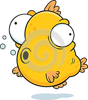 Cartoon Google Eyed Fish
