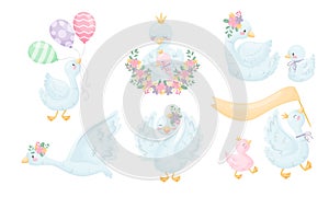 Cartoon Goose Character with Golden Crown Holding Balloons and Sitting with Its Gosling Vector Set