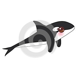 Cartoon grampus orca, killer whale, sea wolf Kawaii with pink cheeks and positive smiling on white background. Vector