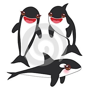 Cartoon grampus orca set, killer whale, sea wolf Kawaii with pink cheeks and positive smiling on white background. Vector