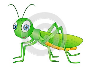 Cartoon Grasshopper Clip Art