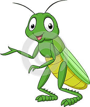 Cartoon grasshopper isolated on white background