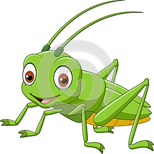 Cartoon grasshopper isolated on white background