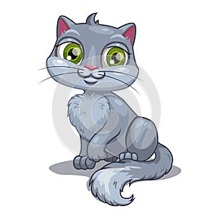 Cartoon gray cat