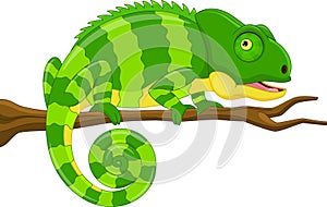 Cartoon green chameleon