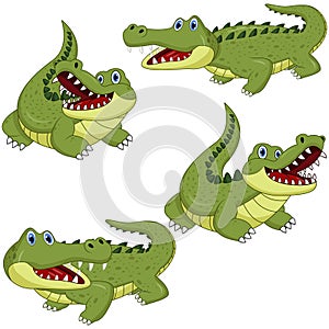 Cartoon green crocodile collection set