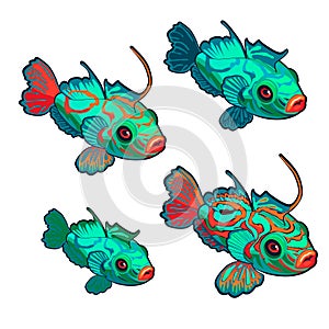 Cartoon green fish with red ornaments isolated on a white background. Synchiropus splendidus, mandarinfish. Vector