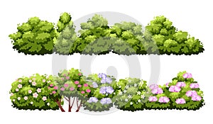 Cartoon green hedge. Decorative bush borders isolated on white background, garden flowering plants, roses and lilacs