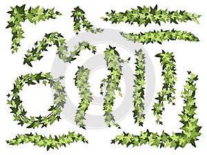Cartoon green ivy. Creeper tree foliage border, garden decoration divider and hanging vine plant branches vector set