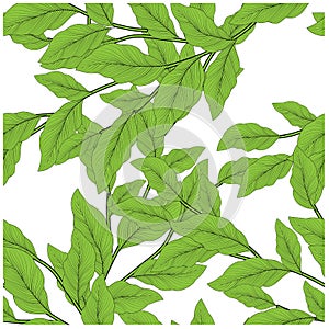 Cartoon green leaves for celebration design. Nature background vector. Seamless vector texture. Beautiful abstract