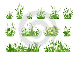 Cartoon green meadow grass with flower, herbs and spike ears. Spring garden lawn horizontal borders. Field fresh natural