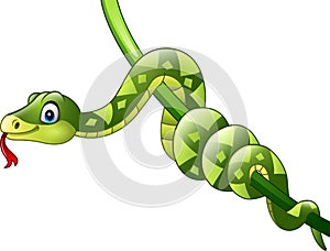 Cartoon green snake on branch