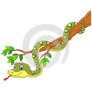 Cartoon green snake on branch