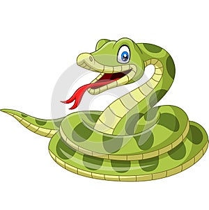 Cartoon green snake on white background