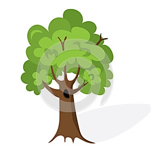 Cartoon green tree. Flat vector. Oak illustration, isolated on white background