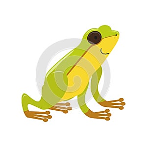 Cartoon green tree frog isolated on a white background. Colorful vector illustration for children in flat style.