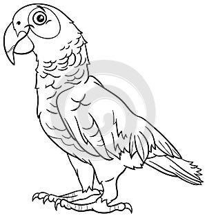 Cartoon grey parrot bird animal character coloring book page