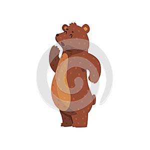 Cartoon grizzly bear calling up for someone. Cute animal with brown fur, small ears and short tail. Wild forest creature