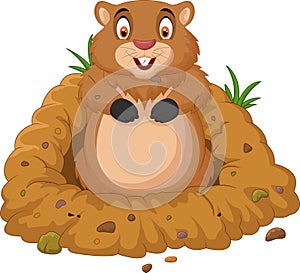 Cartoon groundhog looking out of hole