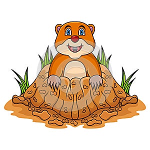 Cartoon groundhog looking out of hole