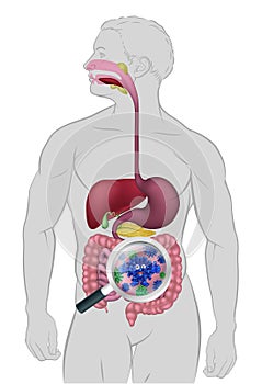 Cartoon Gut Bacteria Digestive Probiotic Flora