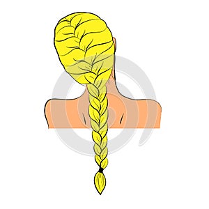 Cartoon hair braid photo