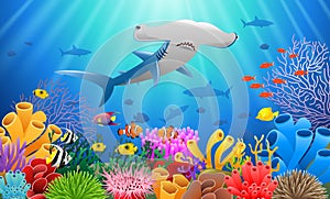 Cartoon hammer shark with Coral photo