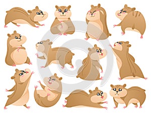 Cartoon hamsters. Cute pet in different poses, fluffy rodent and hamster mascot isolated vector Illustration set