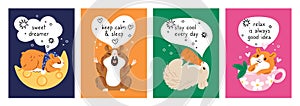 Cartoon hamsters. Funny cards with little animals. Pretty pets relax. Cute inscriptions. Adorable mammals eat carrot