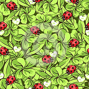 Cartoon hand drawing beetle ladybug, leaves and flowers of clover seamless pattern, vector background. Funny insects on