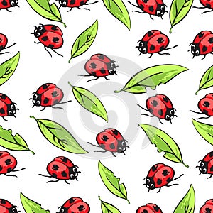 Cartoon hand drawing beetle ladybug and leaves seamless pattern, vector background. Funny insects on a white backdrop