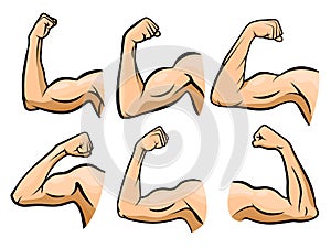 Cartoon hand muscle. Strong arm, boxer arms muscles and strength hands hard gym vector illustration set