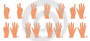 Cartoon hands count gesture, human wrist finger numbers. Vector illustration set