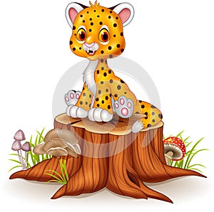 Cartoon happy baby cheetah sitting on tree stump