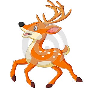 Cartoon happy baby deer running